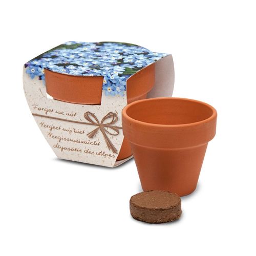 Bloemen in Terracotta potje - Afbeelding 5